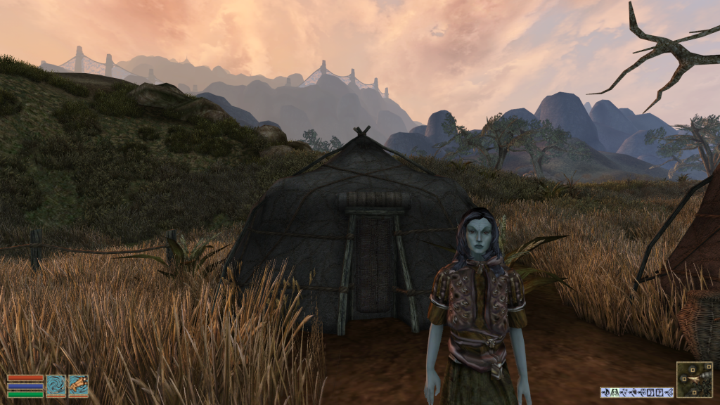 Vent et øjeblik Hubert Hudson Wetland How to Play The Elder Scrolls III: Morrowind in VR (With Friends Too!) - VR  Source